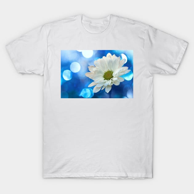 Celebrating Blue & White T-Shirt by micklyn